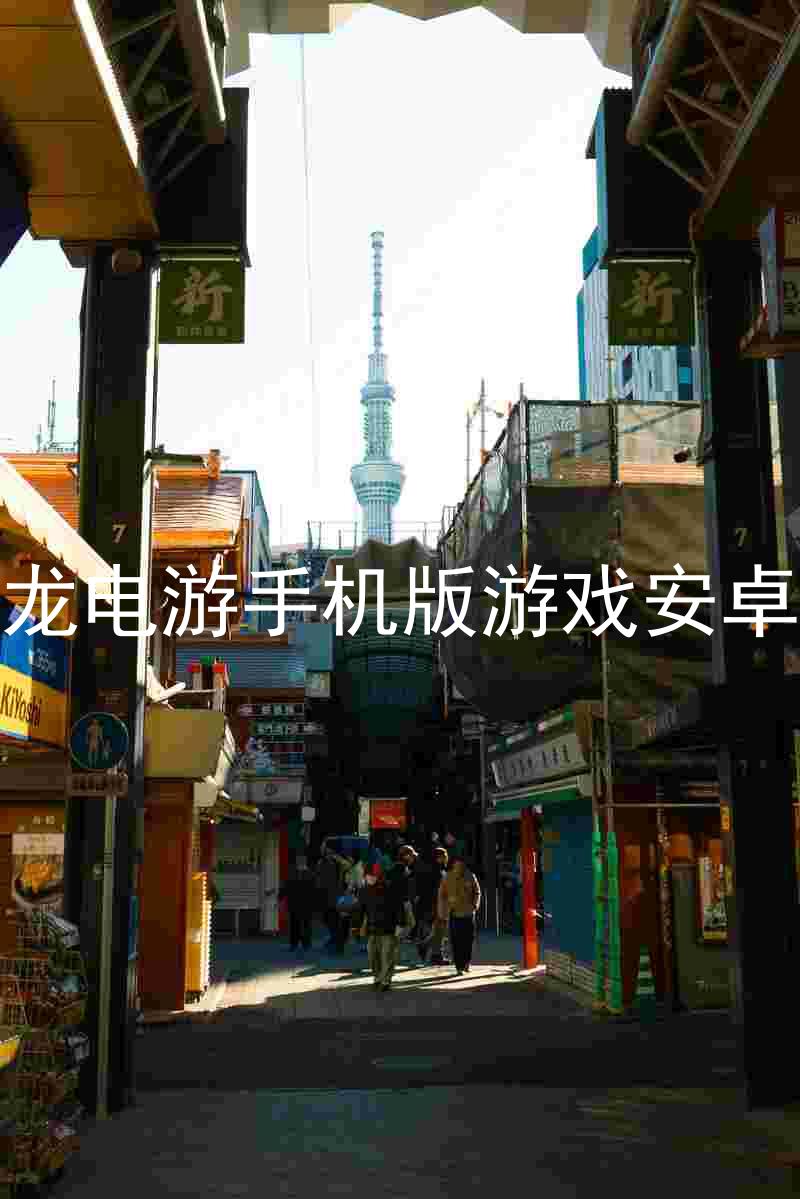 尊龙电游手机版游戏安卓版