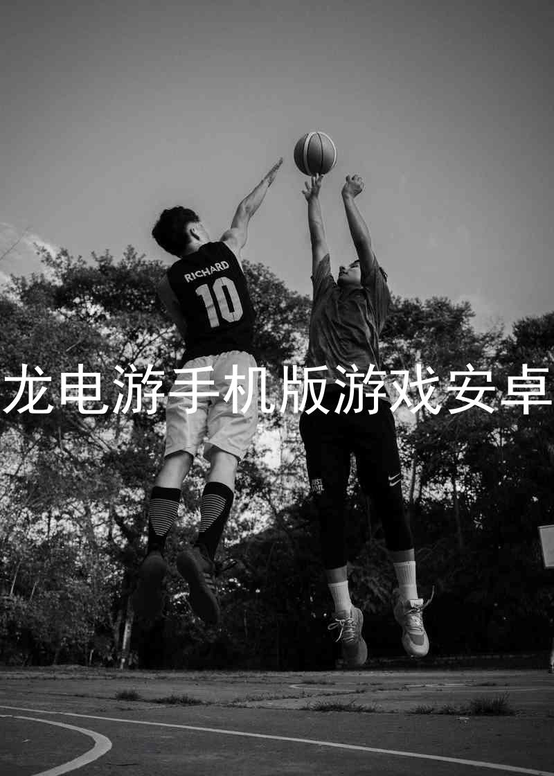 尊龙电游手机版游戏安卓版