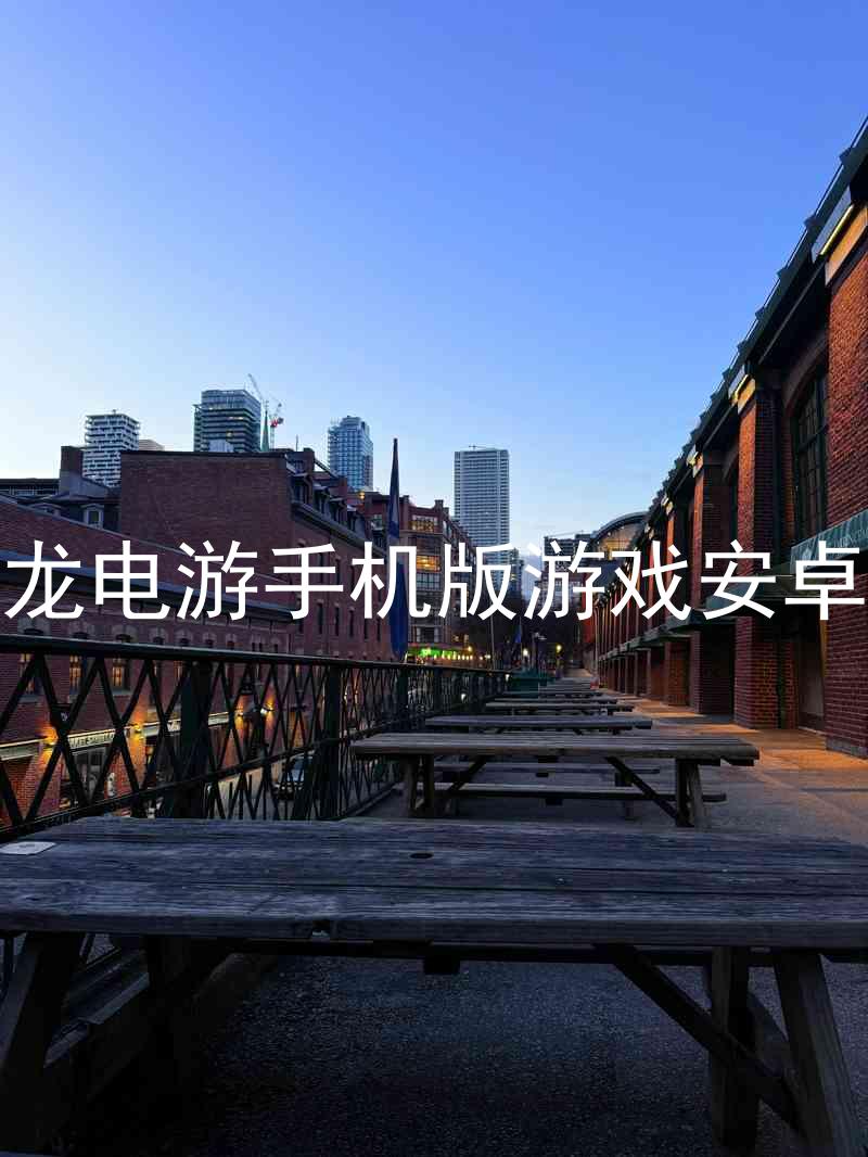 尊龙电游手机版游戏安卓版
