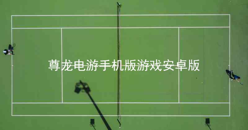 尊龙电游手机版游戏安卓版